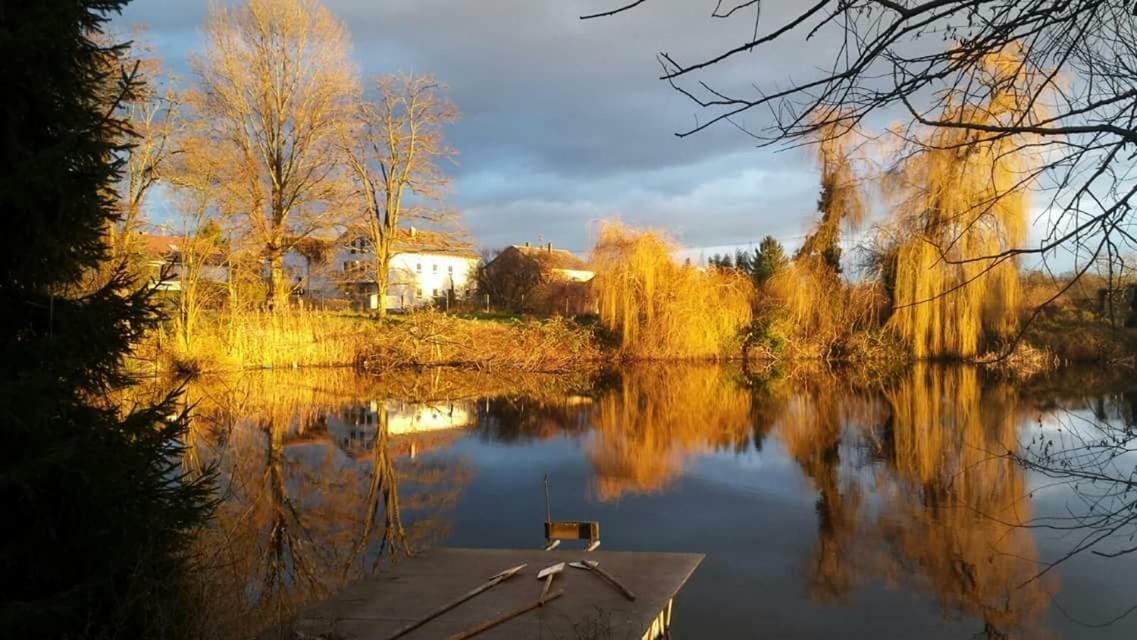 Ferienwohnung Karlsruhe Dış mekan fotoğraf
