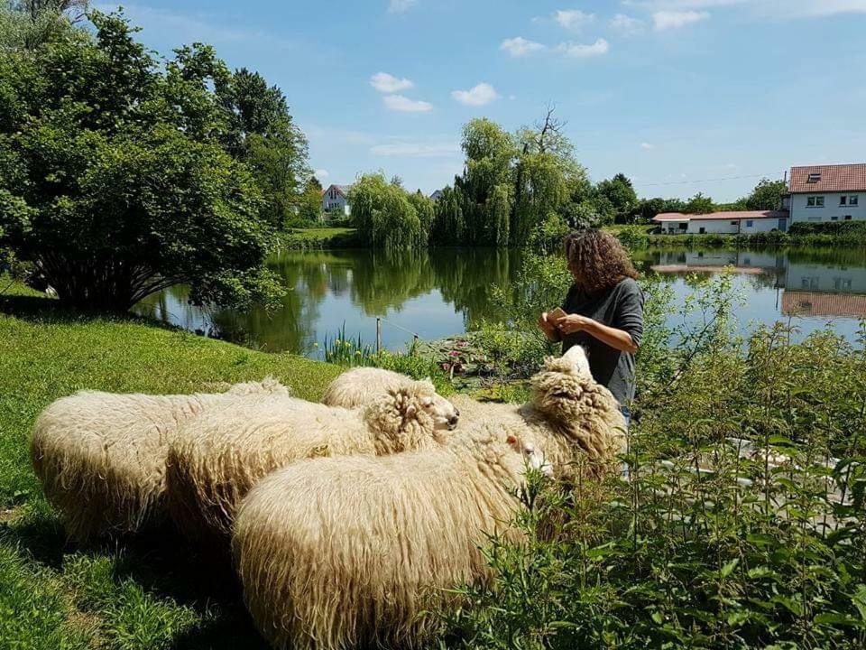Ferienwohnung Karlsruhe Dış mekan fotoğraf